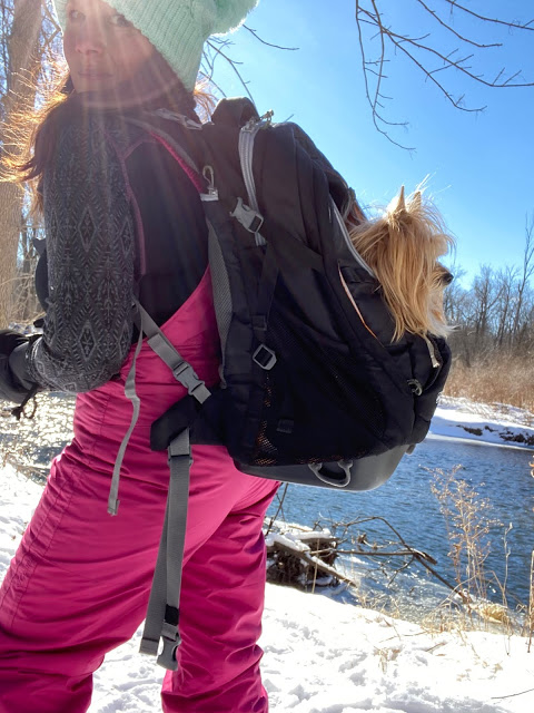 Beginners Guide to Snowshoeing